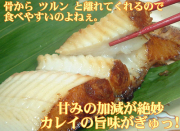 ���쥤�ߤ��ʣ��ڤ�ˡ������ߤ���Ҥ�����ȥĿ͵�No.����