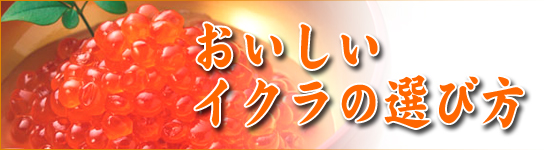 おいしいイクラの選び方