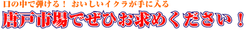 唐戸市場でぜひお求めください！
