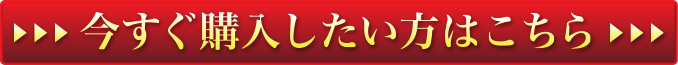 今すぐ購入したい方はこちら