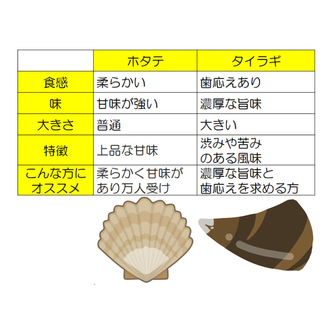 【貴重)ほら貝 タカシェル 法螺貝 ほらかい ホラガイ ほら貝 口金