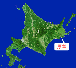 おいしいサンマの選び方