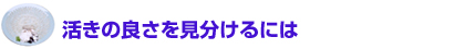 活きの良さを見分けるには