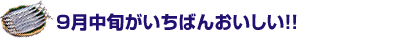 ９月中旬がいちばんおいしい！！