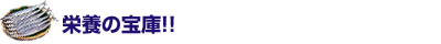 栄養の宝庫！！