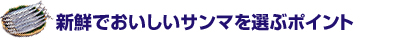新鮮でおいしいサンマを選ぶポイント